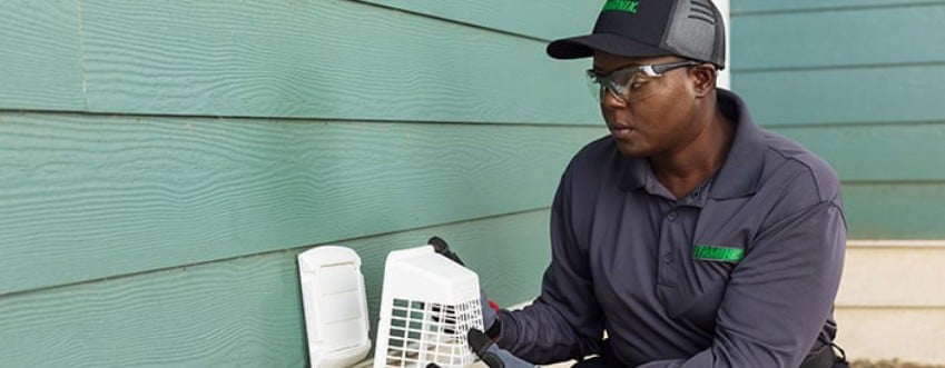 terminix rodent control tech